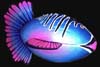 artball_blue_water_cafefish